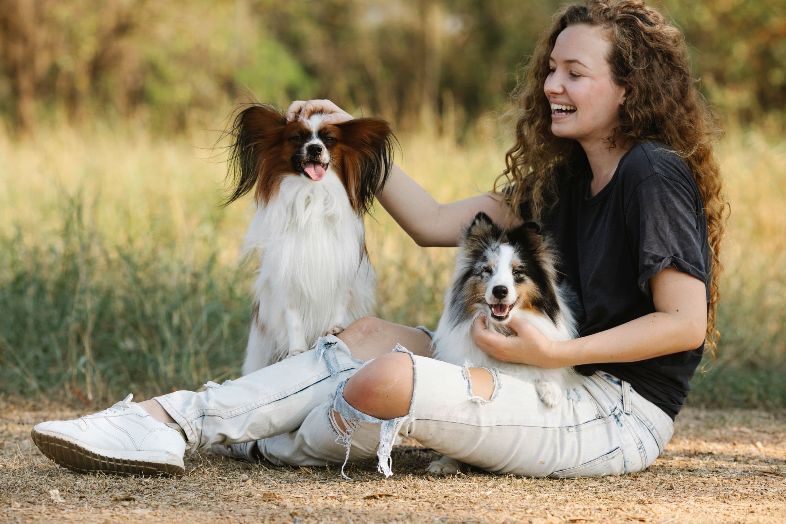 A woman sitting on the grass laughing with her papillon and sheltie