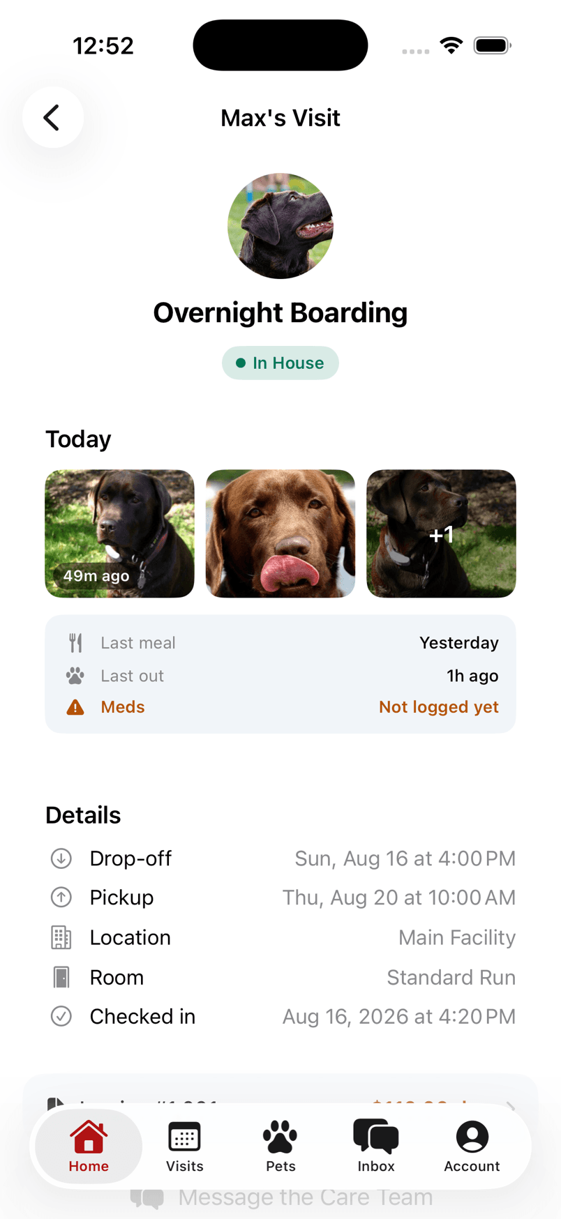 Following an overnight stay in the Pawdentity app: photos from today, last meal, and visit details